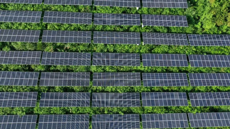 1650892959766466XkSr.jpg 110.jpg